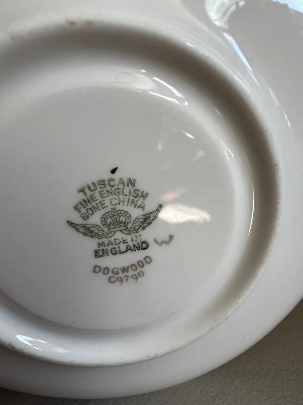 Tuscan Dogwood Fine English Bone China Vintage Tea Cup & Saucer